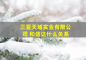 三亚天域实业有限公司 和信达什么关系